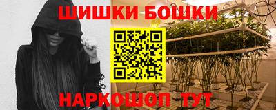 гидра Татарск