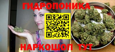 прущие грибы Аргун