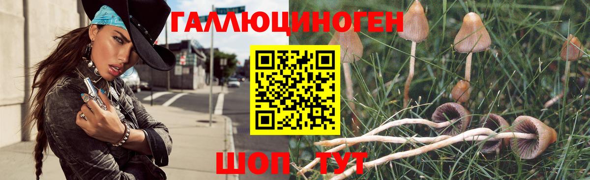 Псилоцибиновые грибы Psilocybe  Галлюциногенные грибы Cubensis  Барнаул  Вход с VPN 